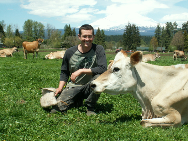 Organic Milk Cow